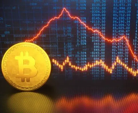 Rimlig Bitrow - Rimlig Bitrow Trading